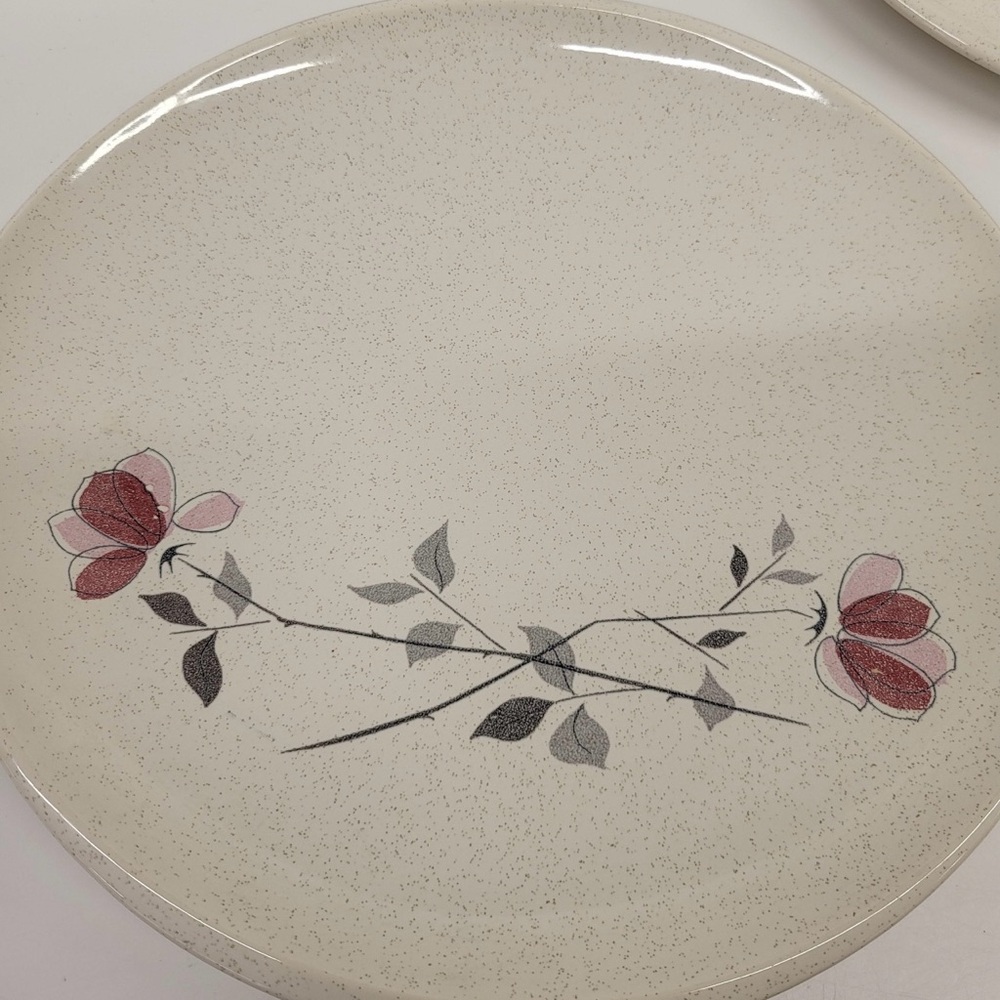 Franciscan Duet Dinner Plates